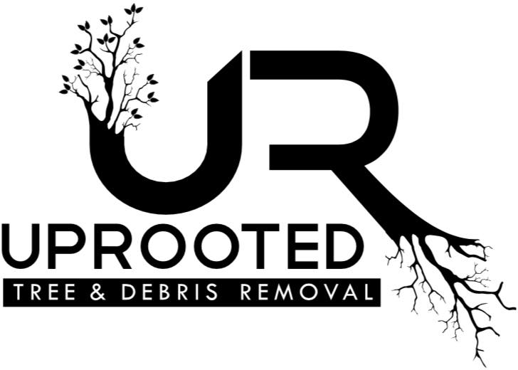 Uprooted Tree & Debris Removal